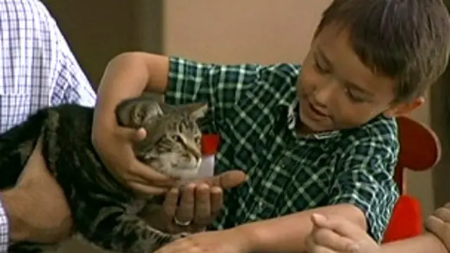 بچہ کو کتے کے کاٹنے سے کئی ٹانکے لگے