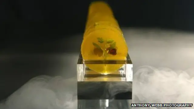 Los discos de mango están hechos de puré de la fruta deshidratado.