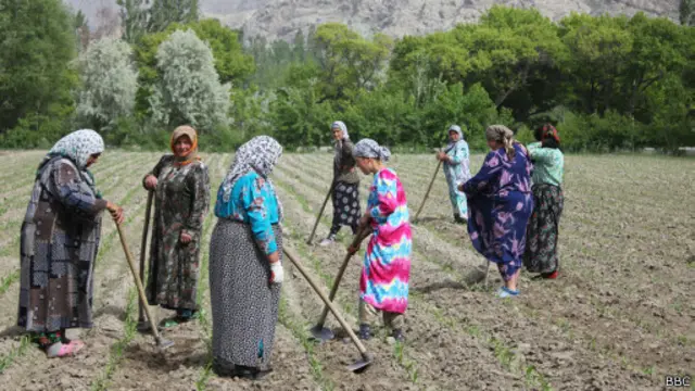 Таджикские женщины, работающие в поле