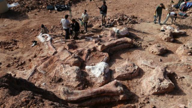 عثر على بقايا الديناصور في منطقة باتاغونيا جنوب الأرجنتين