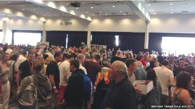 Concurso de tarântulas (British Tarantula Society)