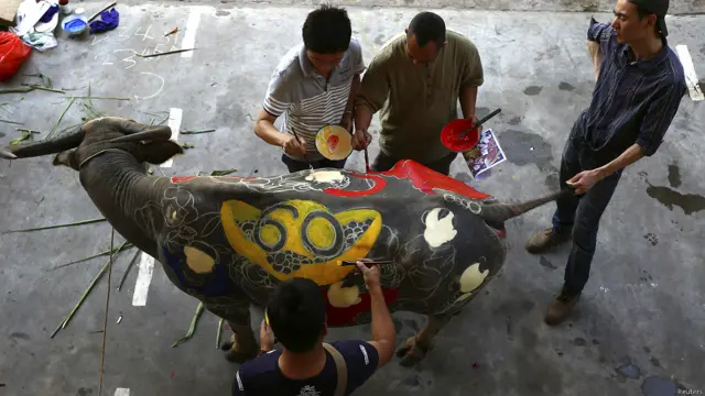 یہاں فنکاروں کو اپنی بھینس پر نقش و نگار بناتے ہوئے دیکھا جا سکتا ہے۔ اس مقابلے میں انعام کی رقم ایک لاکھ یوان یعنی 16،042 امریکی ڈالر رکھی گئی ہے۔