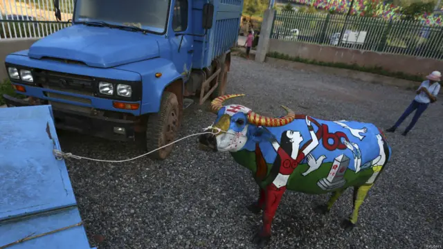 یہ بھینس اپنی نمائش کی باری کا انتظار کر رہی ہے۔ بھینس کے جسم پر فنکاروں نے اپنی اپنی پینٹگز کے ذریعے مختلف قسم کے پیغامات دیے۔