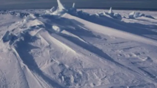 南极西部冰盖的冰川融化最为严重。