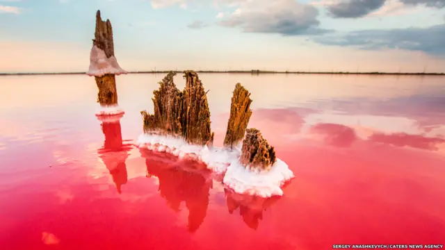 ويقول المصور سيرغي اناشكفيتش إن "الهواء هناك رطب للغاية وعالي الملوحة، وبسبب (وجود) الملح في الهواء ينتابك شعور بأن الهواء لزج."