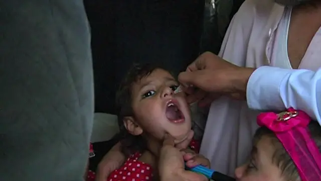 سږ کال د ګوزڼ پر ناروغیو د اخته کسانو شمېر له ۲۰۰ واوښت او د ۱۴ کلنې لوړې شمېرې ریکارډ یې مات کړ