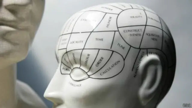 Cerebro modelo