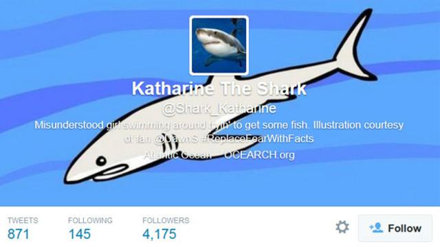 Katharine tiene más de 4.000 seguidores en Twitter.