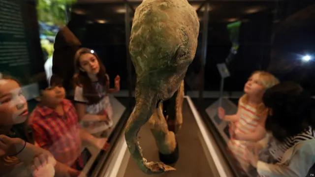 लंदन का नेचुरल हिस्ट्री म्यूज़ियम