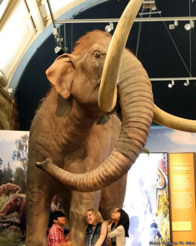 लंदन का नेचुरल हिस्ट्री म्यूज़ियम