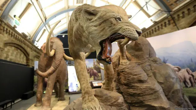 लंदन का नेचुरल हिस्ट्री म्यूज़ियम