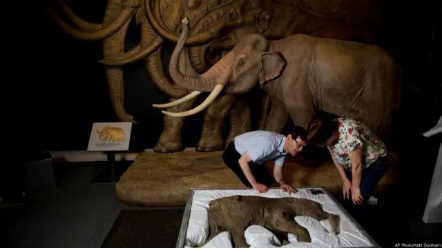 लंदन का नेचुरल हिस्ट्री म्यूज़ियम