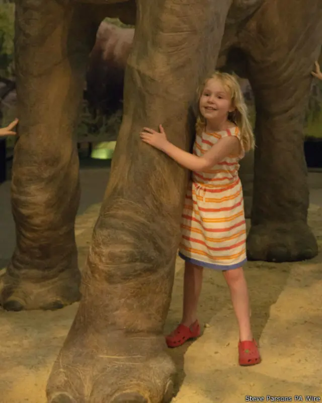 लंदन का नेचुरल हिस्ट्री म्यूज़ियम