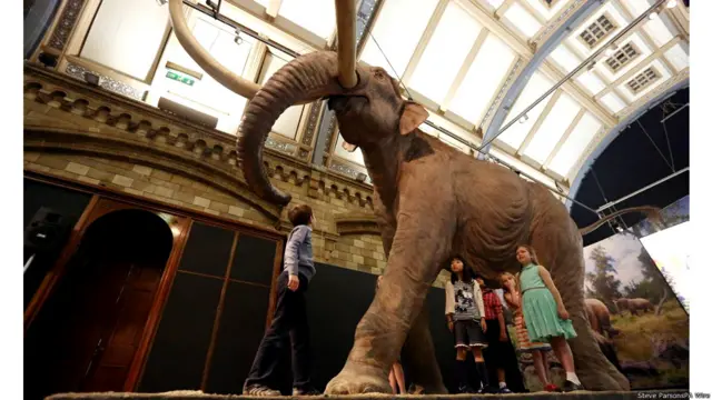 लंदन का नेचुरल हिस्ट्री म्यूज़ियम