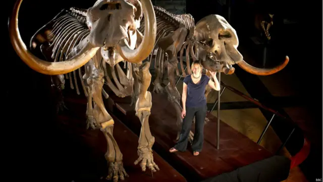 लंदन का नेचुरल हिस्ट्री म्यूज़ियम