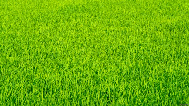 Фото: Станислав Казнов