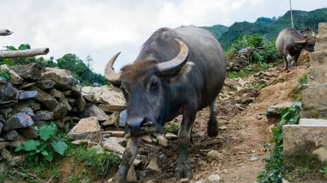 Фото: Станислав Казнов