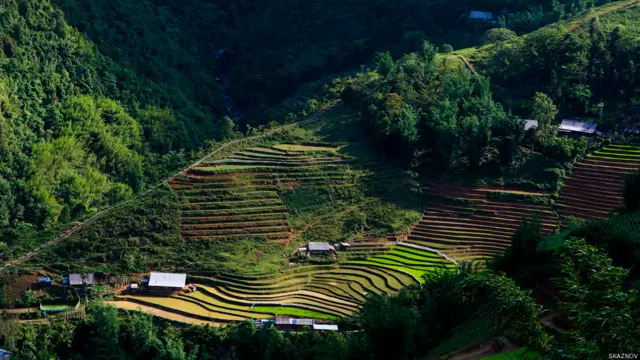 Фото: Станислав Казнов