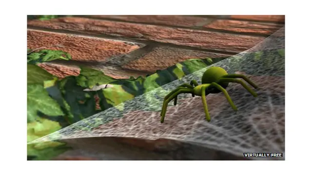 در مرحله سوم عنکبوتی " با ترس پایین " در محیط بیرون از خانه دیده می‌شود