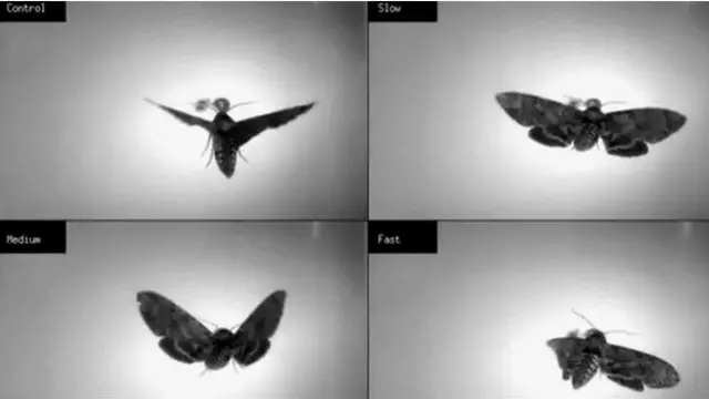 ڈرون: مستقبل کے لیے تحفظ یا خطرہ