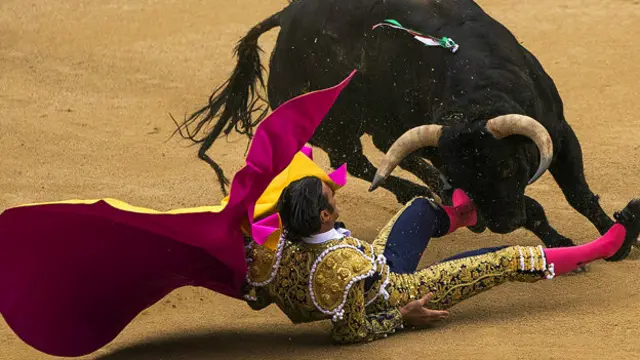 बुल फ़ाइटिंग