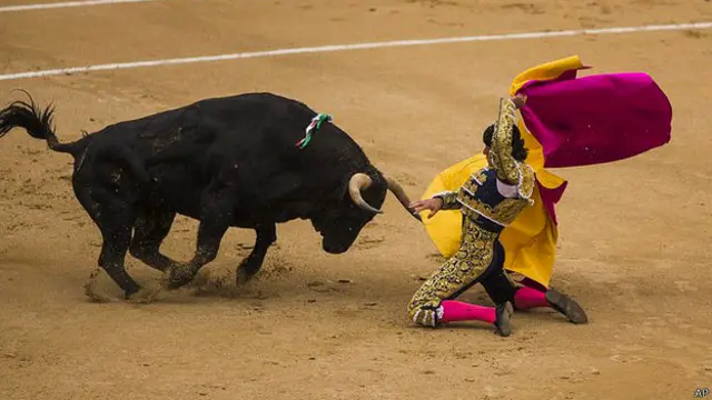 बुल फ़ाइटिंग