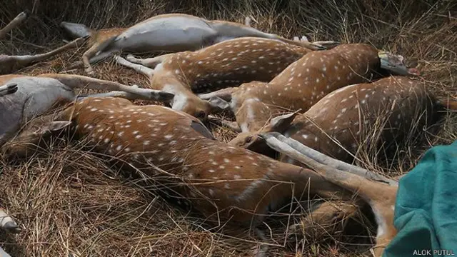 (फ़ाइल फ़ोटो)