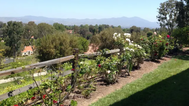 别墅一隅所见景致