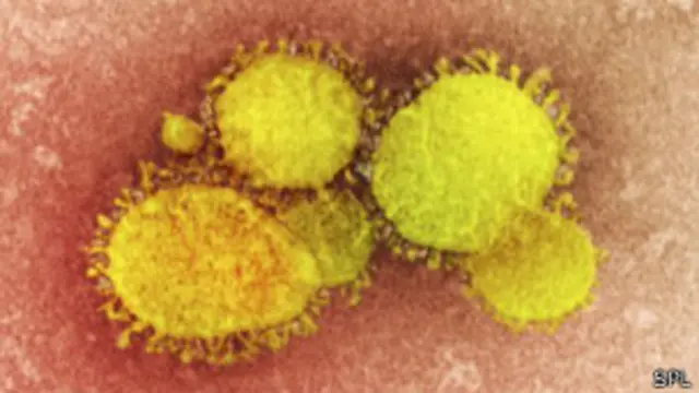 يتمثل أحد أكبر المخاوف في إمكانية تحور الفيروس ليسهل انتقاله بين البشر.