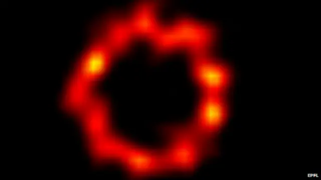 Скелет клітини