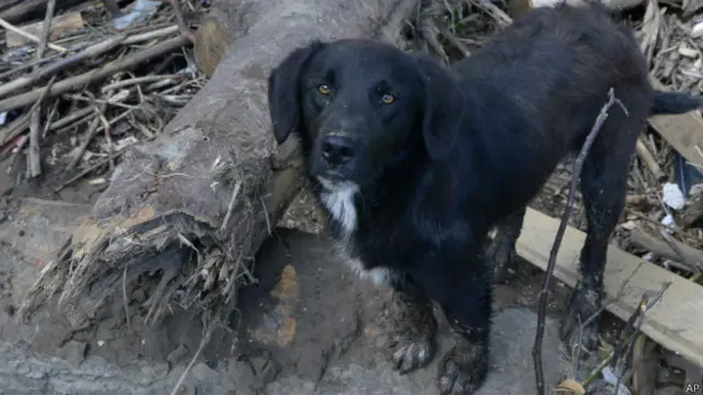 फ़ाइल फोटो