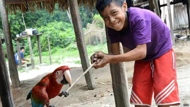 Niño awa con loro