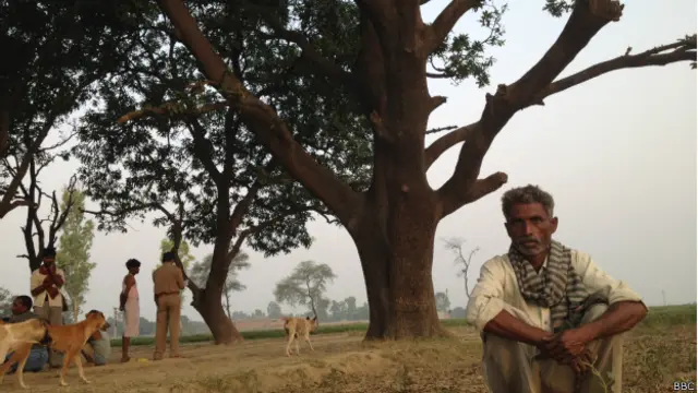 बदायूं, गांव का वह पेड़ जिसपर दो लड़कियों की लाशें मिली थीं.