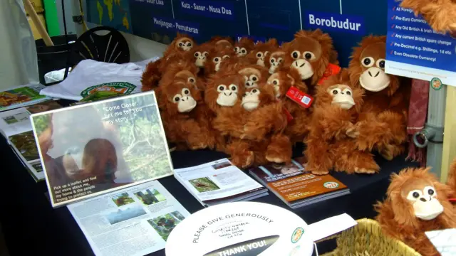 Orang Utan Protection Foundatin