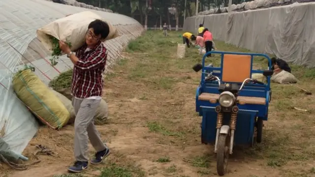 صورة للشباب وهم يعملون داخل مزرعة الطريق القويم