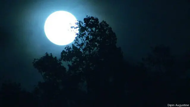 पूर्णिमा की रात और चांद