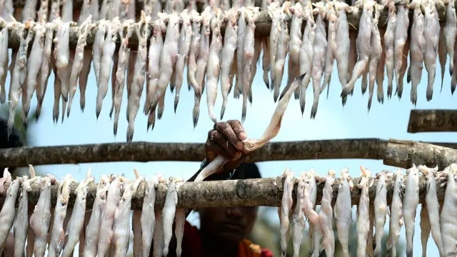 मुंबई का मढ आइलैंड