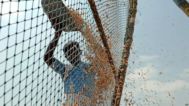 मुंबई का मढ आइलैंड