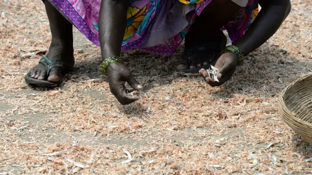 मुंबई का मढ आइलैंड