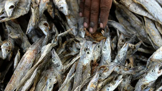 मुंबई का मढ आइलैंड