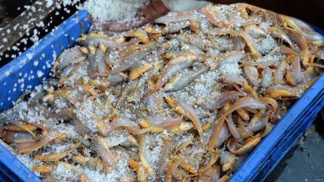 मुंबई का मढ आइलैंड