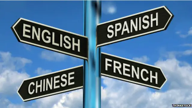 دوسری زبان سیکھنے سے دماغ پر اثر کو سمجھنے کے لیے یہ تحقیق پہلا اہم قدم ہے: ڈاکٹرالوارو پاسکوال لیون