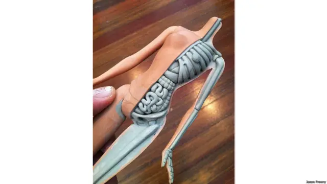 जैसन फ्रीनी की कलाकारी