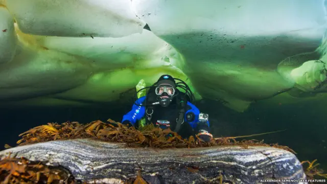 ستستكف الرحلة المسماة "إكسبيديشن أكواتيليس" 35 ألف ميل من محيط الأطلسين والهادئ والمحيطات الهندية. عضوة الفريق أولغا غرم-غرازيمايلو تغطس تحت الثلوج في البحر الأبيض وروسيا لجمع عينات علمية.