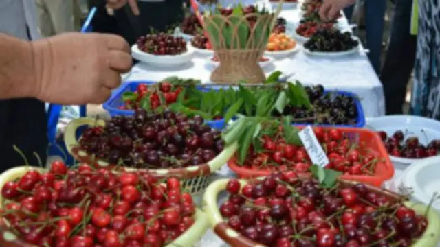 "Менинг севганим гилос..."