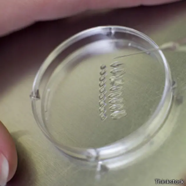 Fertilización in vitro