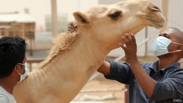 د سودي عربستان یو ۴۴ کالن وګړی په همدې ویروس د اخته کیدو له امله مړ شوی