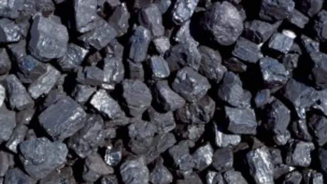 بھارتیہ جنتا پارٹی کے لیڈر شاہنواز حسین نے کہا ہے کہ ان کی پارٹی عدالت کے فیصلے کا مطالعہ کر رہی ہے