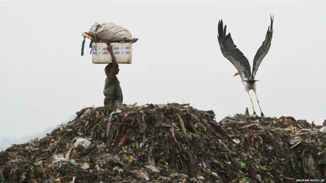 由于人口增长迅速，生态系统己接近可承受的极限
