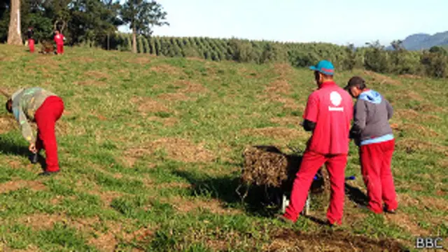 කැනීම් වල යෙදෙන සොහොන් සේවකයන්